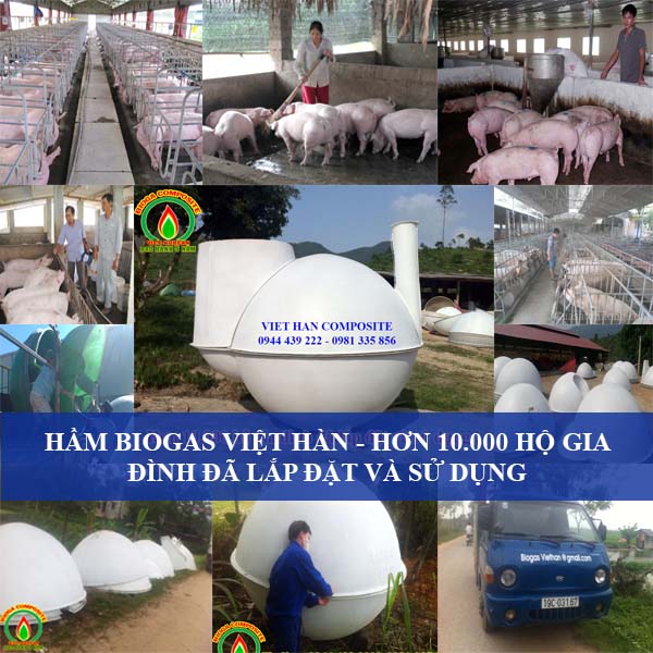 bể biogas composite Việt Hàn