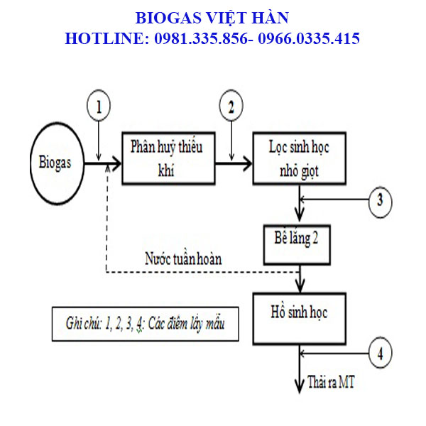 Cấu tạo hầm biogas composite?