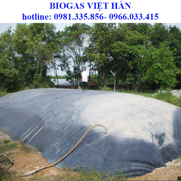 So sánh các loại hầm biogas hiện nay? Ưu và nhược điểm mô hình biogas?