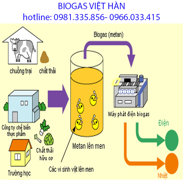 Hệ thống hầm biogas