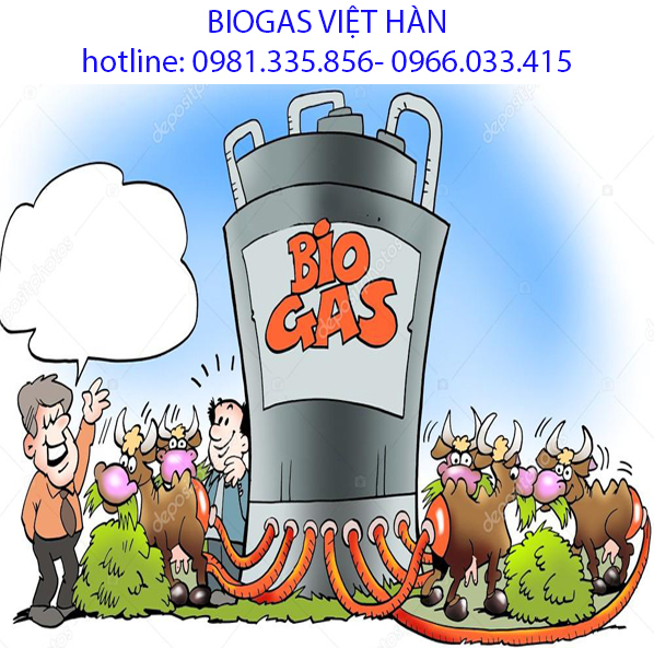 Hệ thống hầm biogas