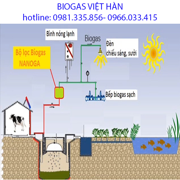 Bình biogas