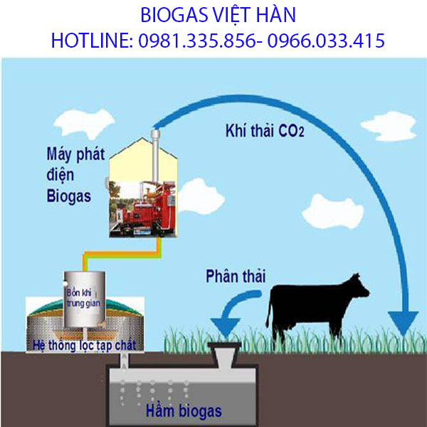 Xử lí chất thải chăn nuôi bằng hầm biogas
